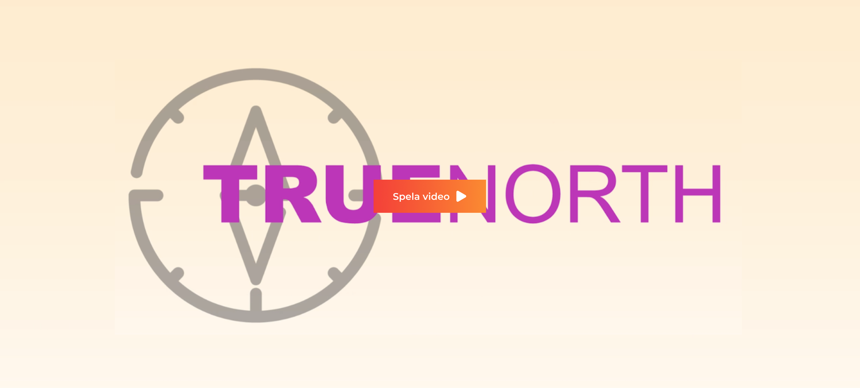 TrueNorth